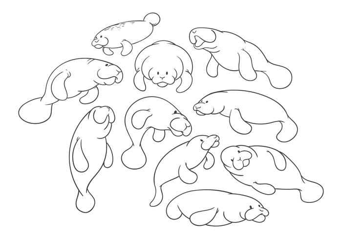 700x490 Free Cartoon Manatee Vector