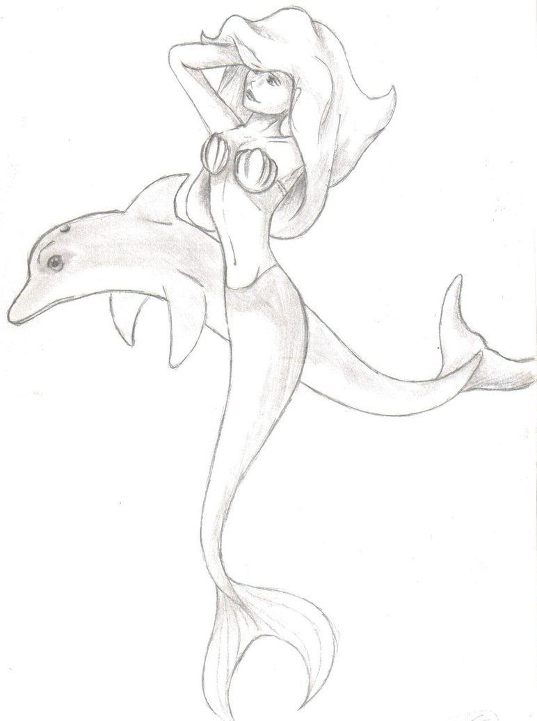 772x1036 Mermaid And Dolphin By Tiapunky