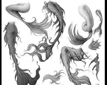 350x280 Mermaid Tails Art Mermaid Tails And Mermaid