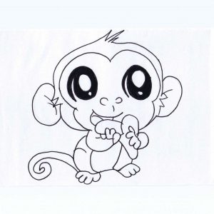 300x300 Adult Easy Monkey Drawing Easy Monkey Drawing For Kids. Easy