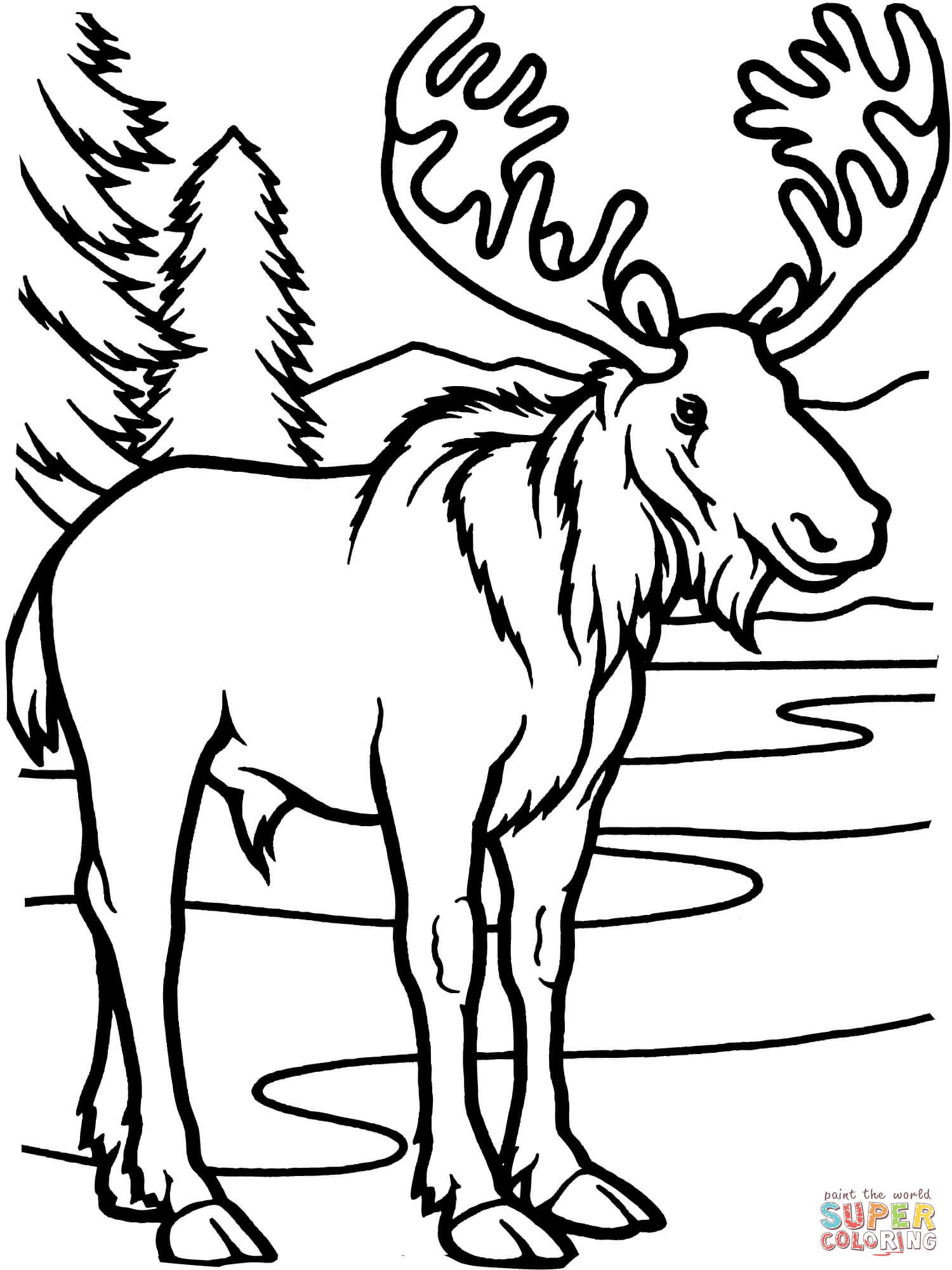 1500x2000 Moose Bull Coloring Page Free Printable Coloring Pages