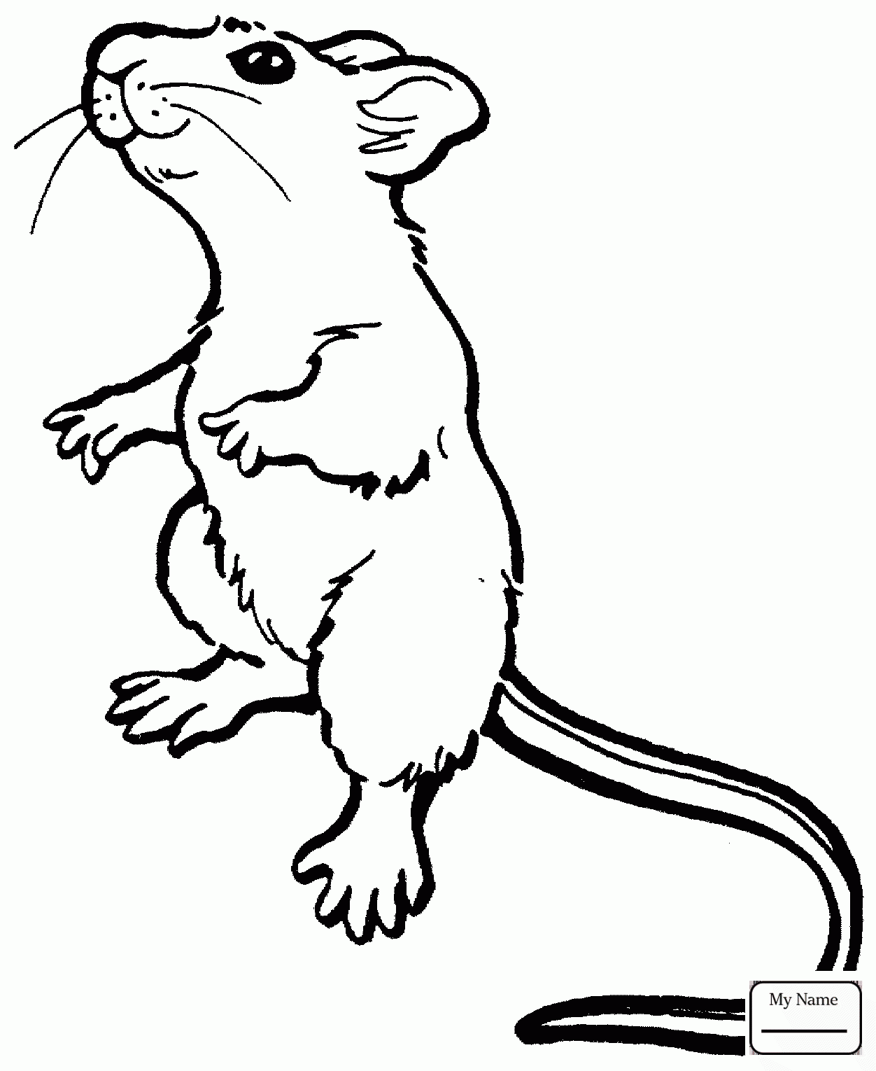 1252x1530 Coloring Pages For Kids Mammals Mice Cute Mouse
