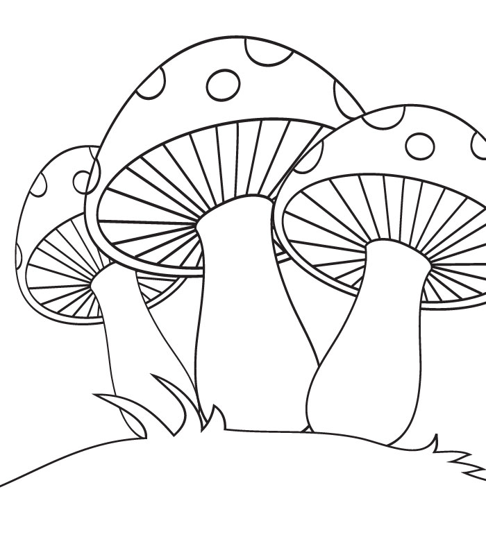 700x800 Mushrooms Coloring Pages