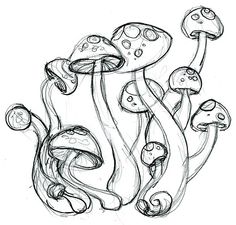 236x225 Pencil Drawings Of Mushrooms Psychedelic Mushrooms 2 By