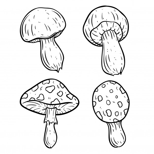 626x626 Set Of Cute Mushroom With Using Doodle Art Vector Premium Download
