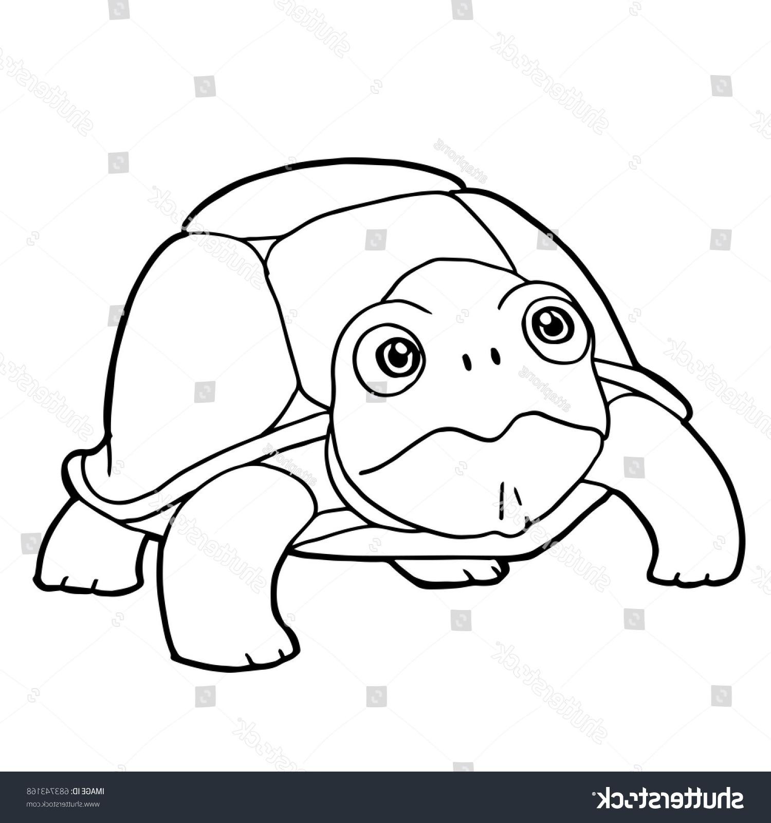 1500x1600 Cute Ninja Turtle Coloring Pages Free Draw To Color