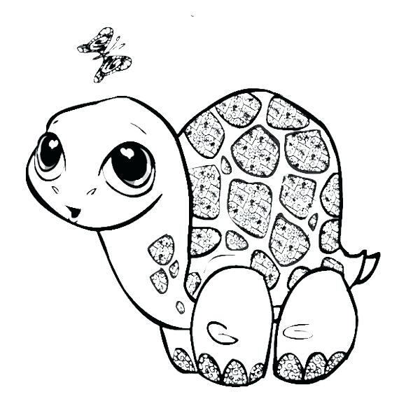 600x590 Turtle Pictures To Color Best Collection Coloring Pages