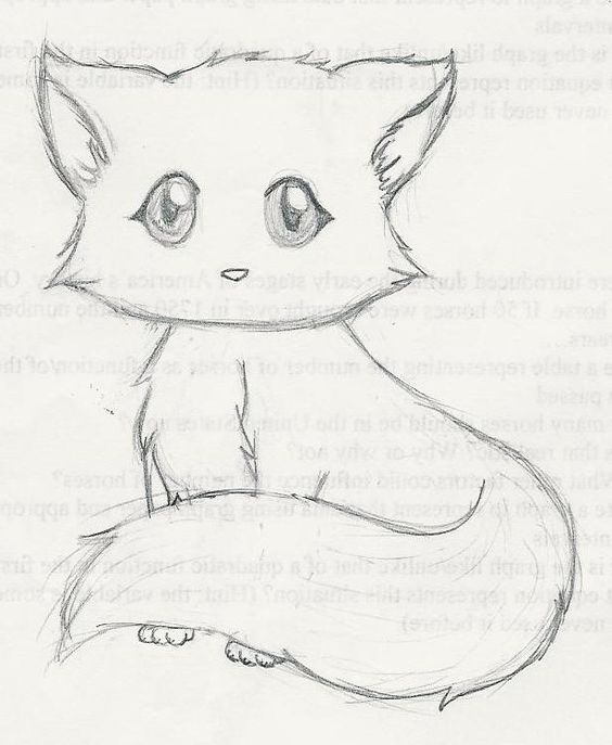 564x687 Cute Kitten Drawings Drawing Drawings