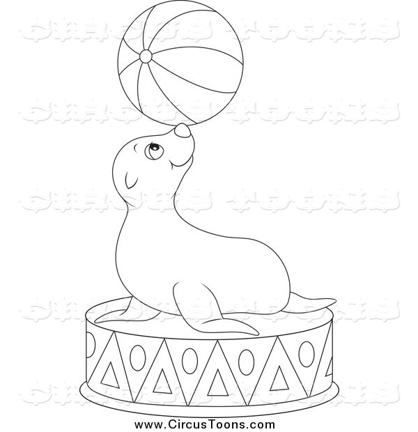 600x620 Circus Clipart Of A Black And White Cute Sea Lion Balancing A Ball