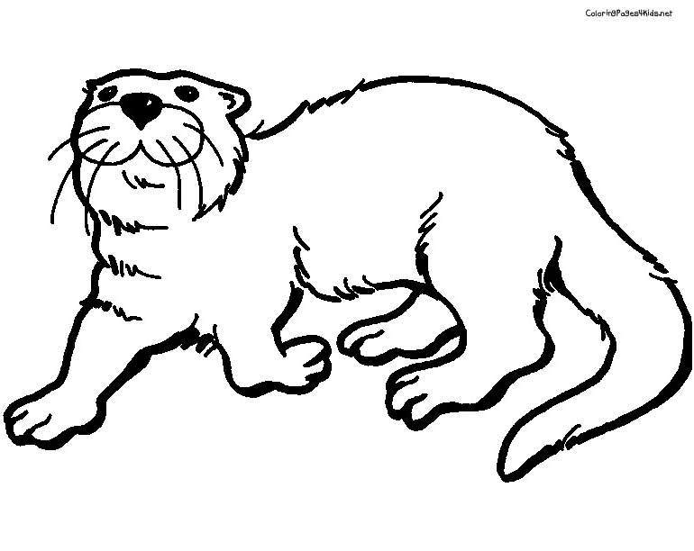 Cute Otter Drawing at GetDrawings | Free download