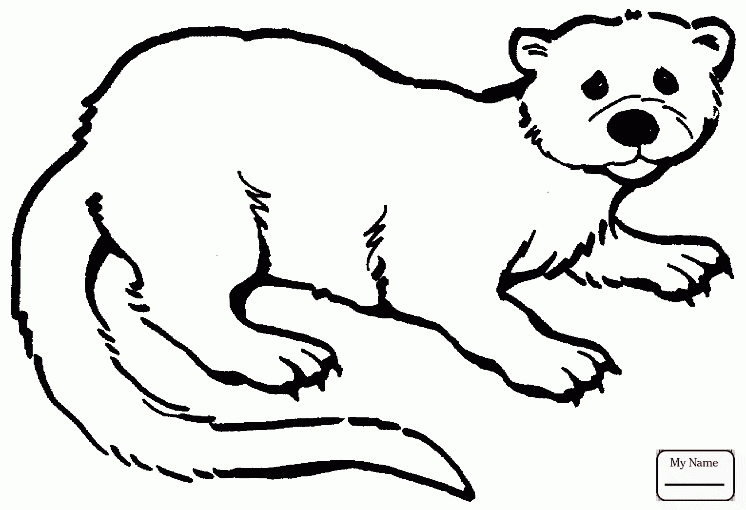 1530x1046 Otters Otter Outline Mammals Coloring Pages For Kids