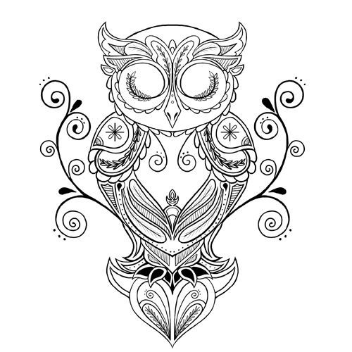 500x500 Owl Drawing Tattoo Elaxsir