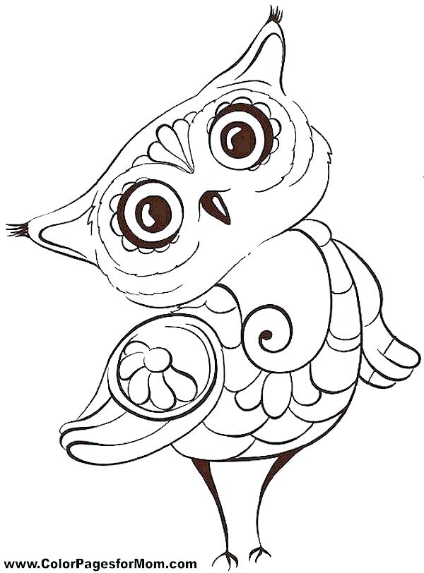 600x812 Snowy Owl Coloring Page Free Coloring Pages Of Owls Cute Owl