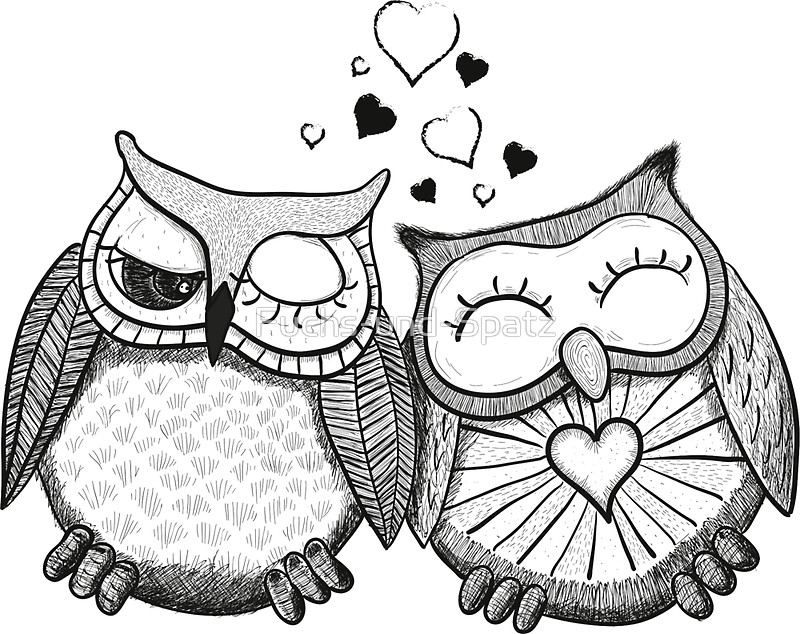 800x634 Cute Black And White Owl Couple Stickers By Fuchs Und Spatz