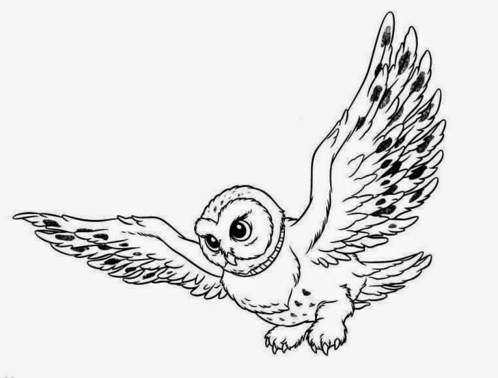 1024x779 Colours Drawing Wallpaper Cute And Beautiful Owl Flying Colour