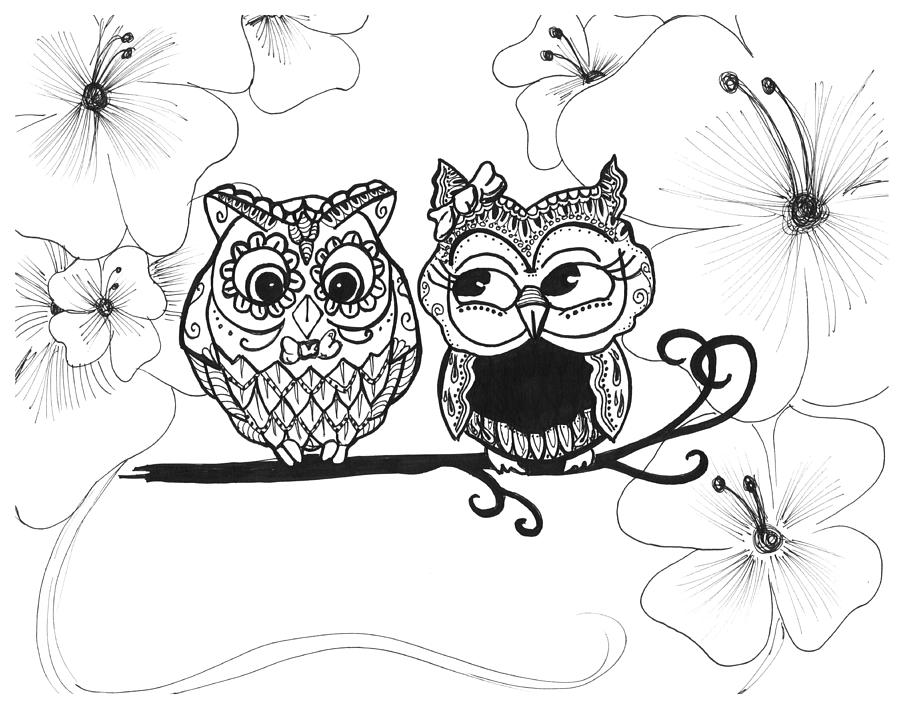 900x710 Love Owl Drawing
