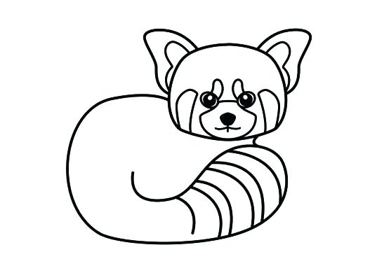 537x390 Panda Coloring Cute Panda Coloring Pages Pin Drawn Panda Colouring