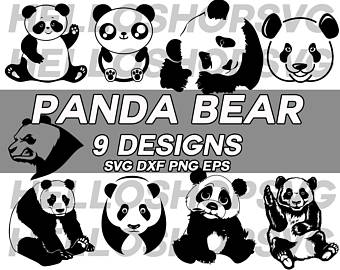 340x270 Panda Bear Svg Etsy