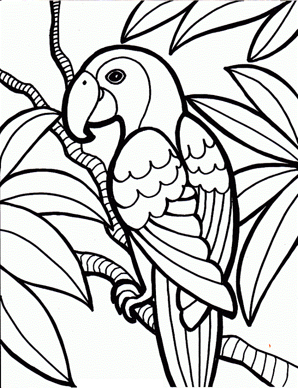 600x780 25 Cute Parrot Coloring Pages Your Toddler Will Love To Color