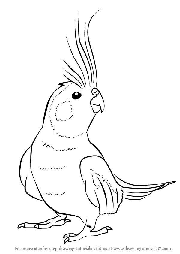 600x846 Pin By Debbie Diehl On Cute Bird, Drawings