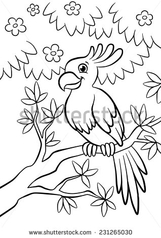318x470 Cute Parrot Sitting On The Flowered Tree In The Forest Meus