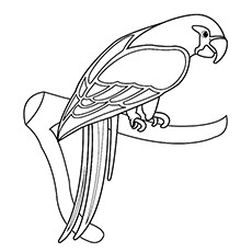 230x230 25 Cute Parrot Coloring Pages Your Toddler Will Love To Color
