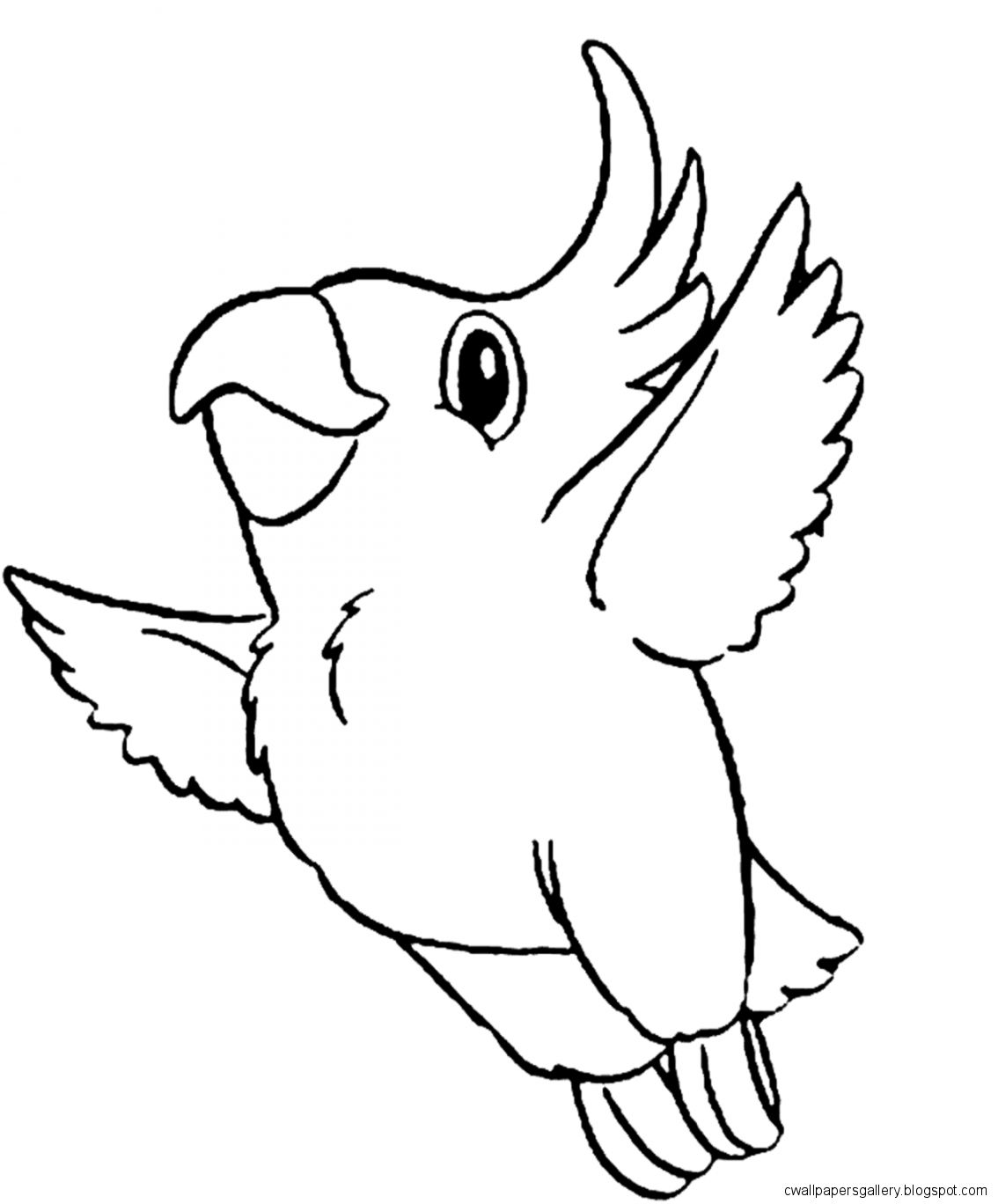 1134x1368 Cute Bird Drawing Wallpapers Gallery