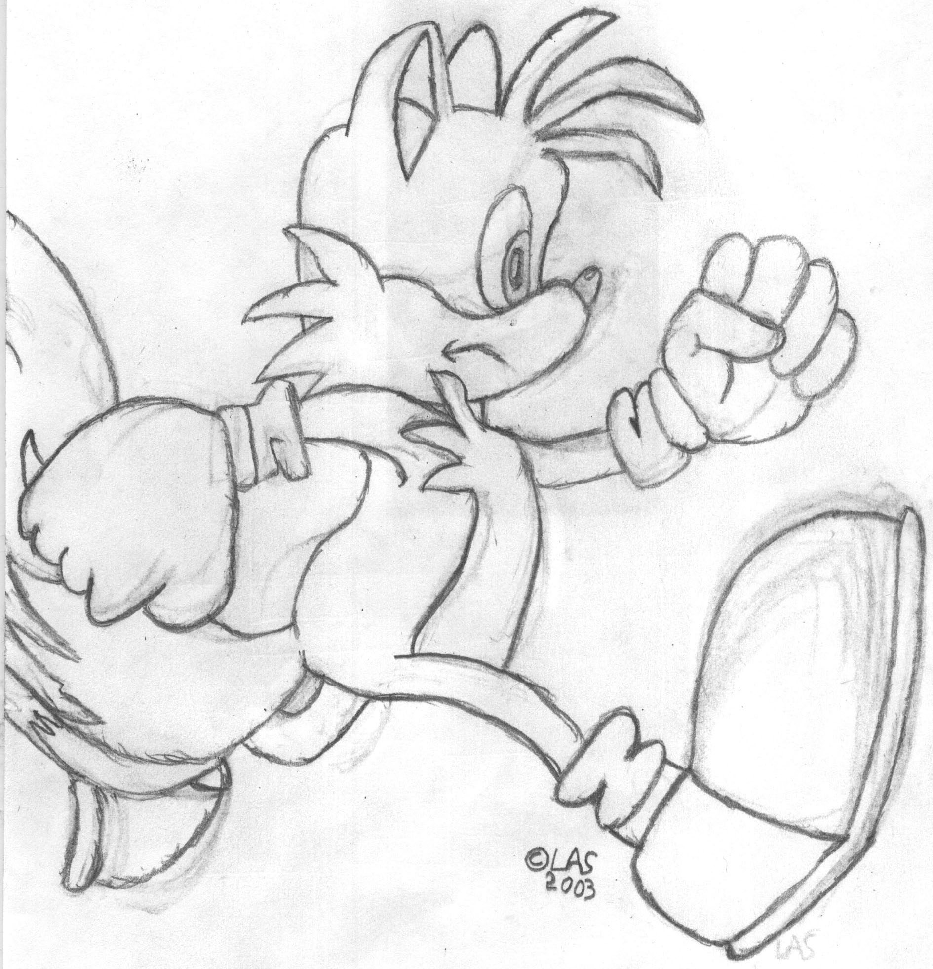 1890x1962 Tails Drawing