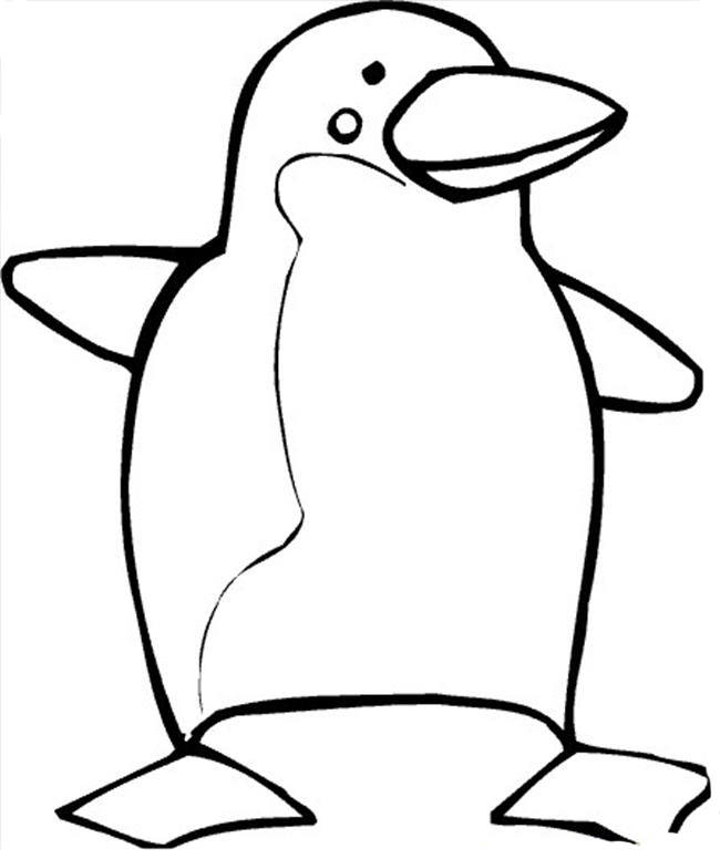 650x776 Penguin Template