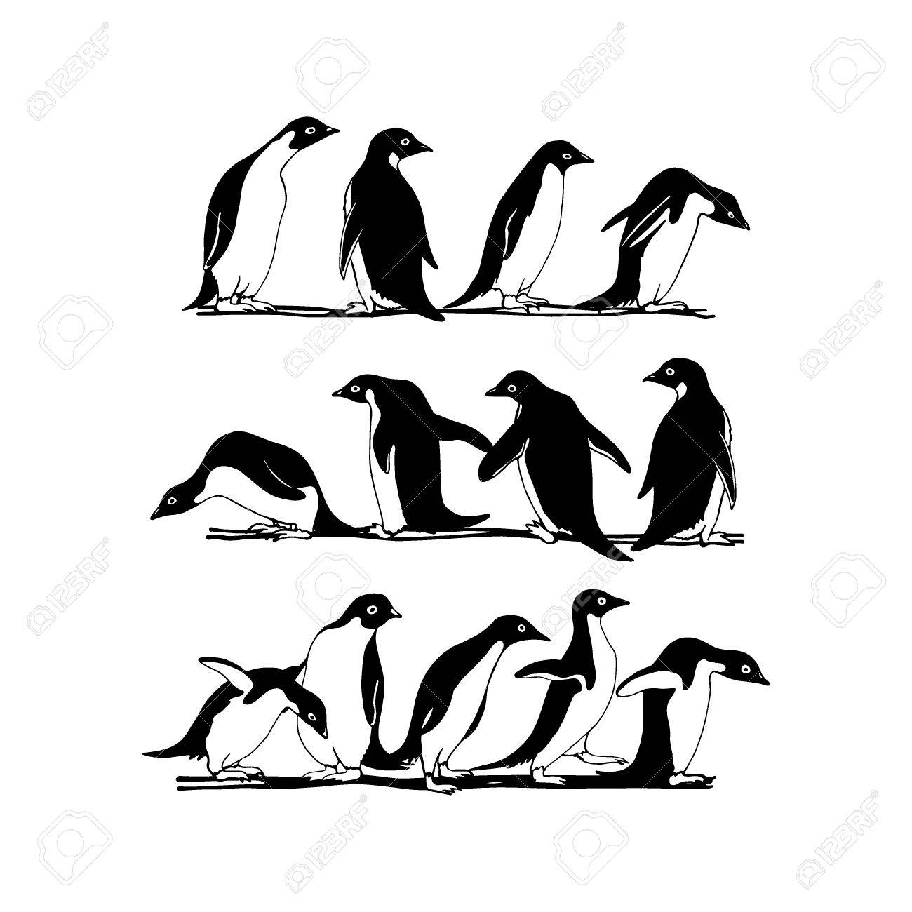 1300x1300 Vector Graphic Set Of Hand Drawn Cute Penguins. Funny Penguin