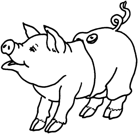 480x467 Cute Pig Coloring Page From Pig Category. Select From 20946