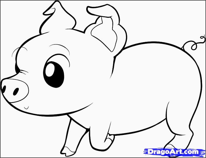 724x555 How To Draw A Minecraft Pig Face Tags How To Draw A Pig Face How
