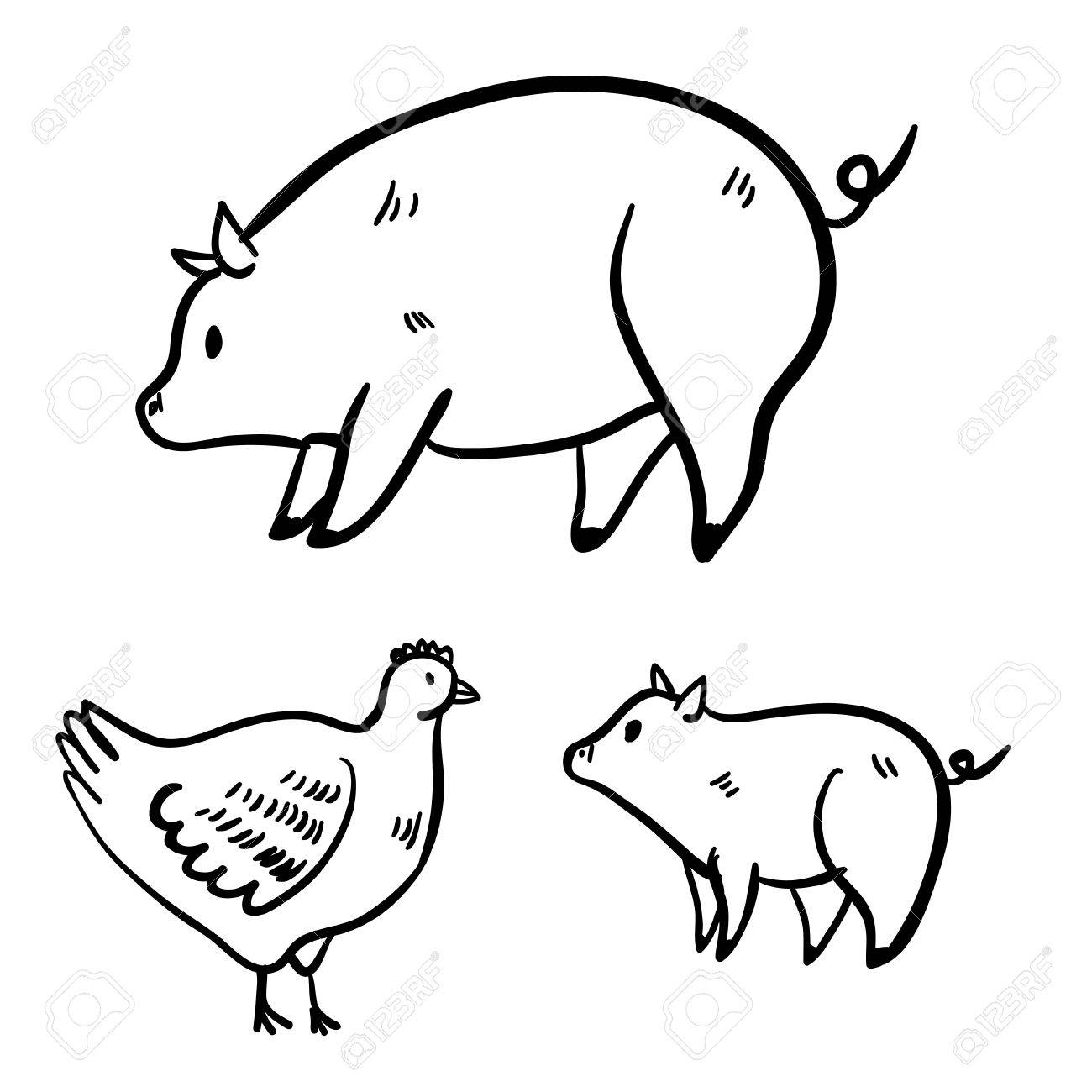 1300x1300 Vector Illustration With Hen And Pigs. Cute Vector Handy Drawn