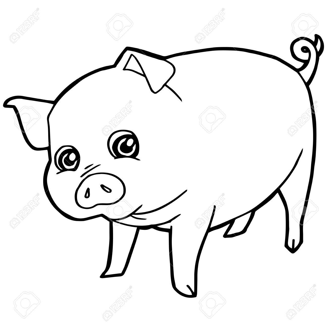 1300x1300 Cartoon Cute Pig Coloring Page Vector Illustration Royalty Free