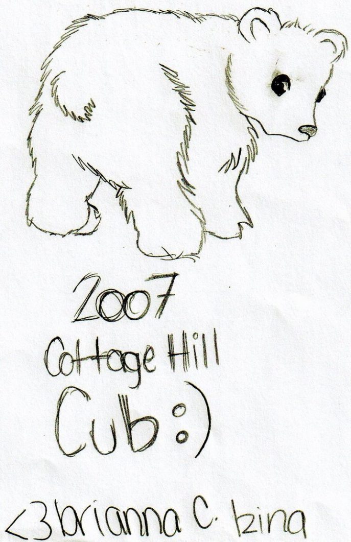 687x1061 Coloring Bear Coloring Pages Awesome Book Polar Printable