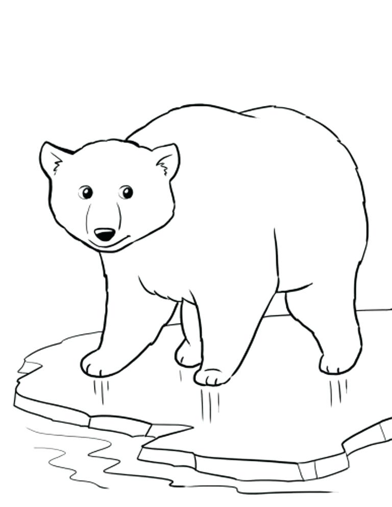 768x995 Top Rated Polar Bear Coloring Pages Images Polar Bear Coloring