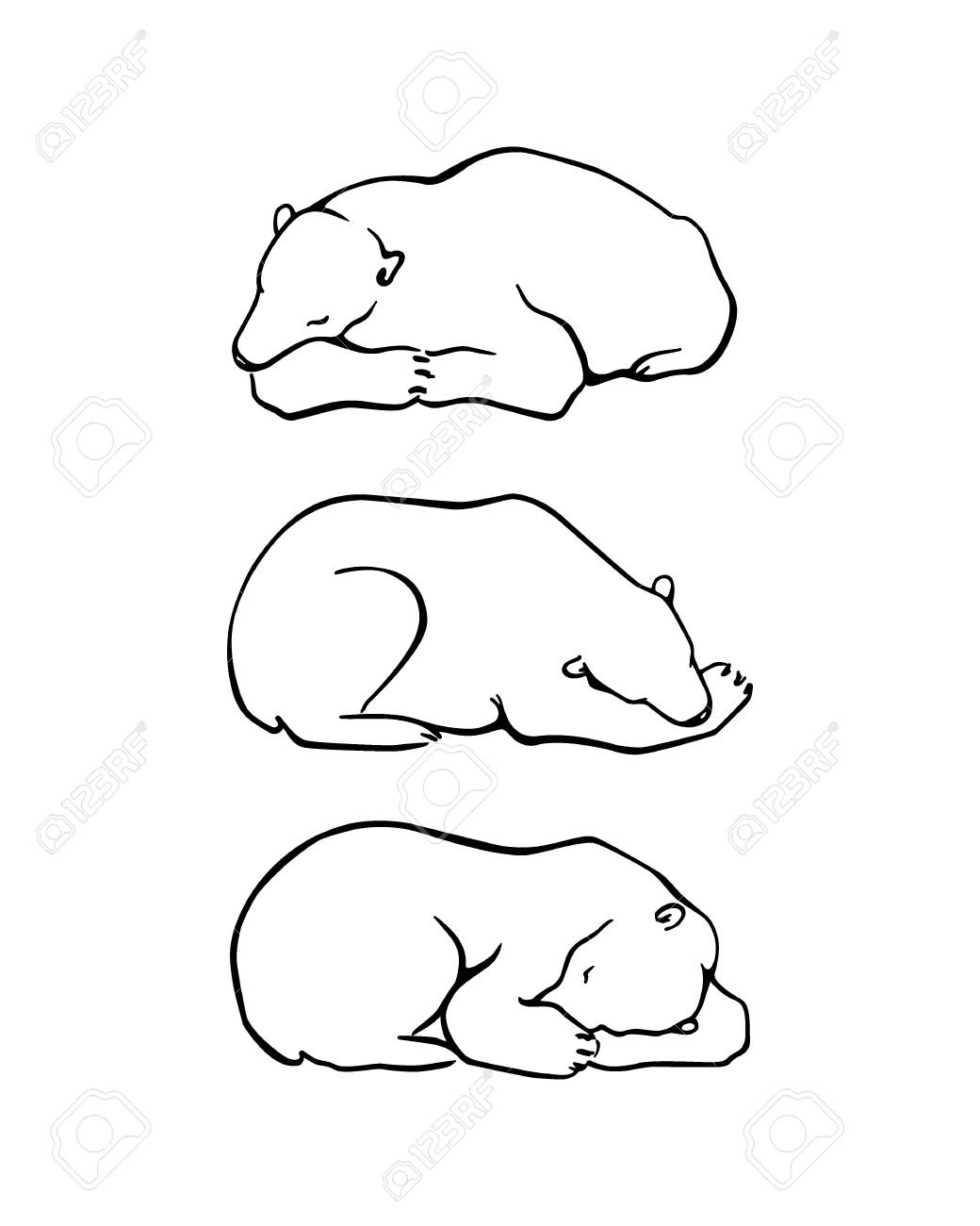 1040x1300 Vector Graphic Set Of Hand Drawn Cute Sleeping Polar Bears