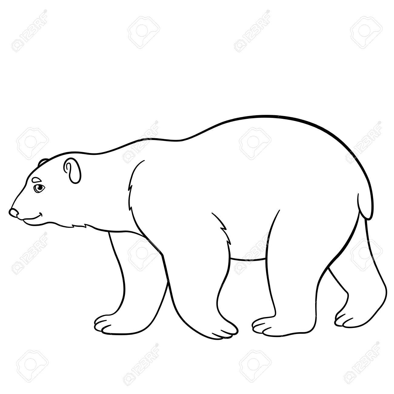 Cute Polar Bear Drawing at GetDrawings | Free download