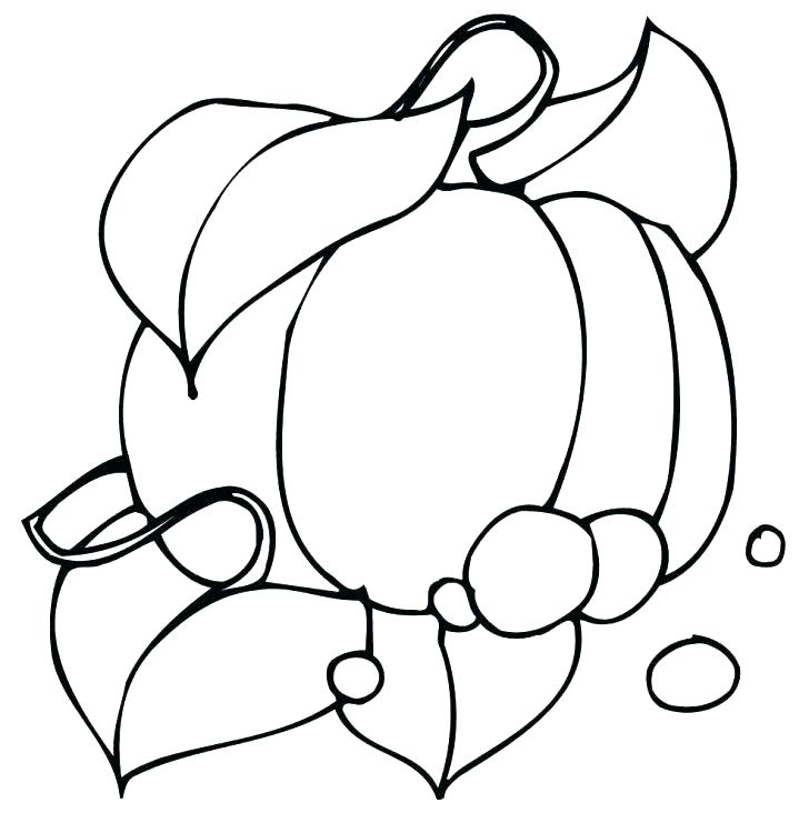 728x732 Pumpkin Coloring Pages Pumpkin Coloring Book Blank Pumpkin