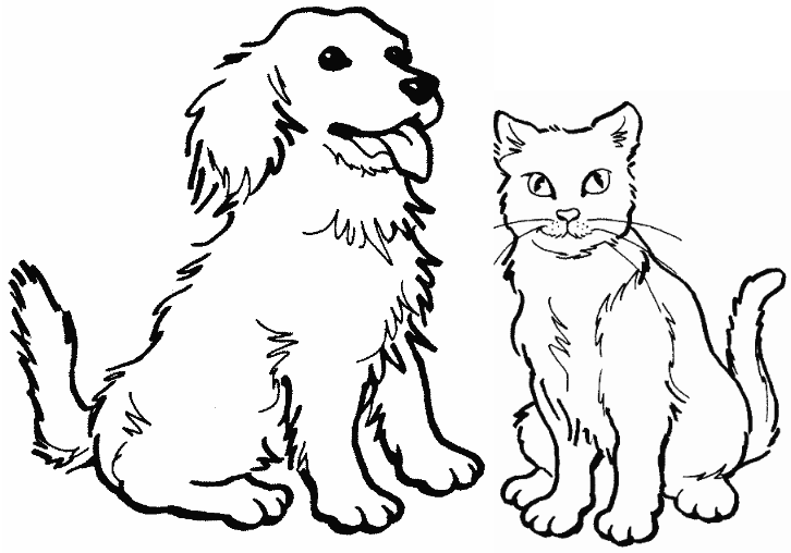 726x508 Drawn Kitten Cute Puppy
