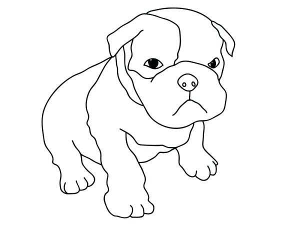 600x450 Unique Pitbull Coloring Pages Free Download Cute Puppy Page Sky