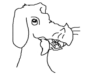 300x250 A Dragon X Dog Mix With Cute Puppy Eyes