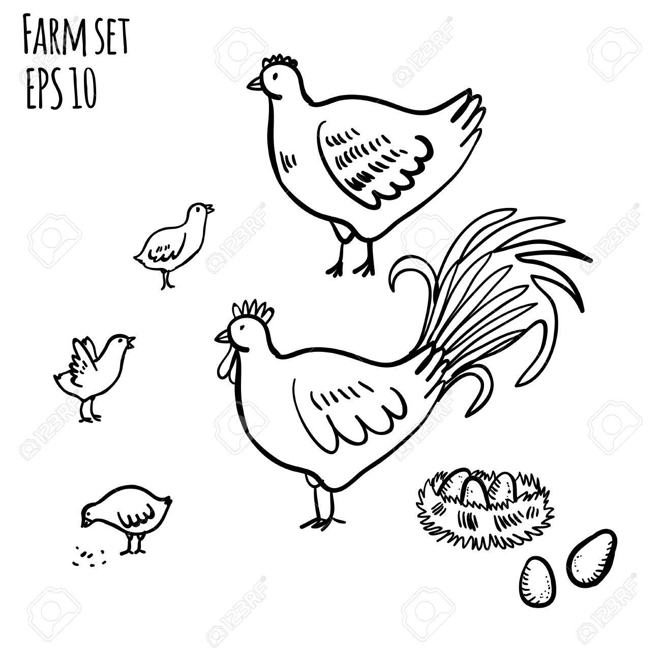 1300x1300 Vector Illustration Set With Rooster, Hen And Chicken. Handy