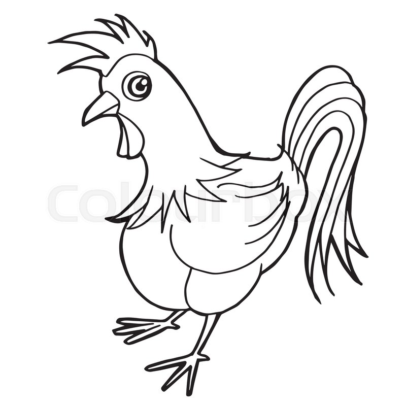 800x800 Cartoon Cute Rooster Coloring Page Vector Stock Vector Colourbox