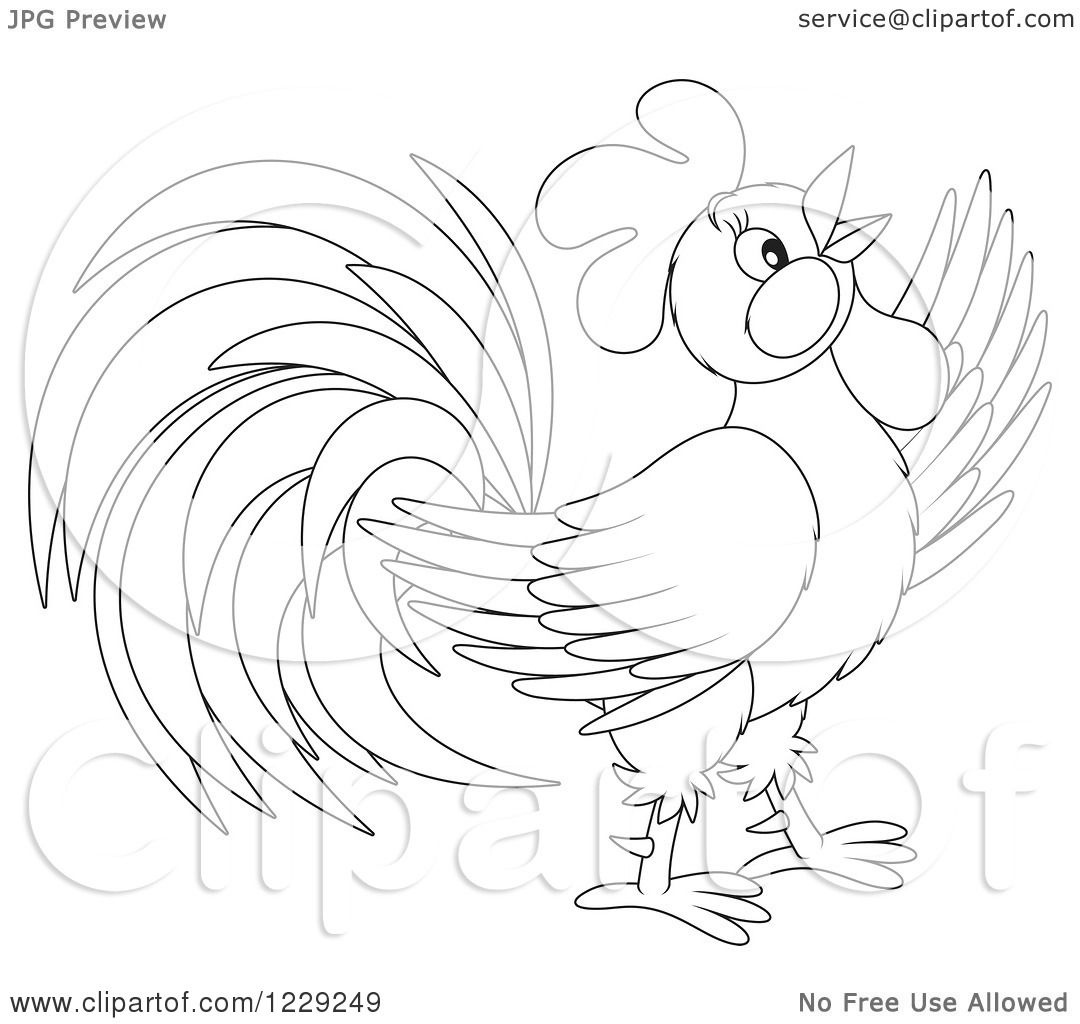 1080x1024 Clipart Of An Outlined Cute Rooster