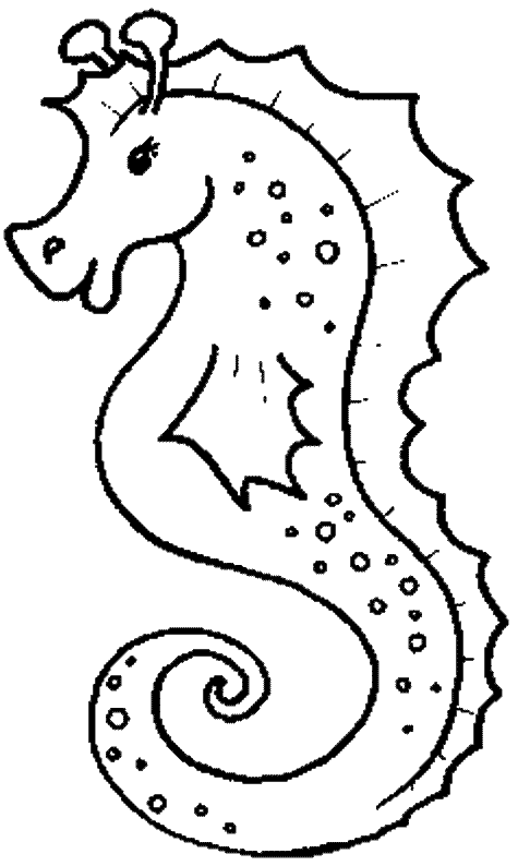 486x794 Seahorse Coloring Pages Coloring Pages Seahorses