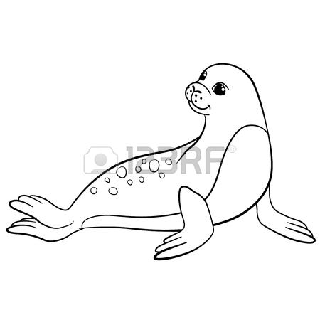 450x450 Coloring Pages. Little Cute Spotted Seal Lays And Smiles. Royalty