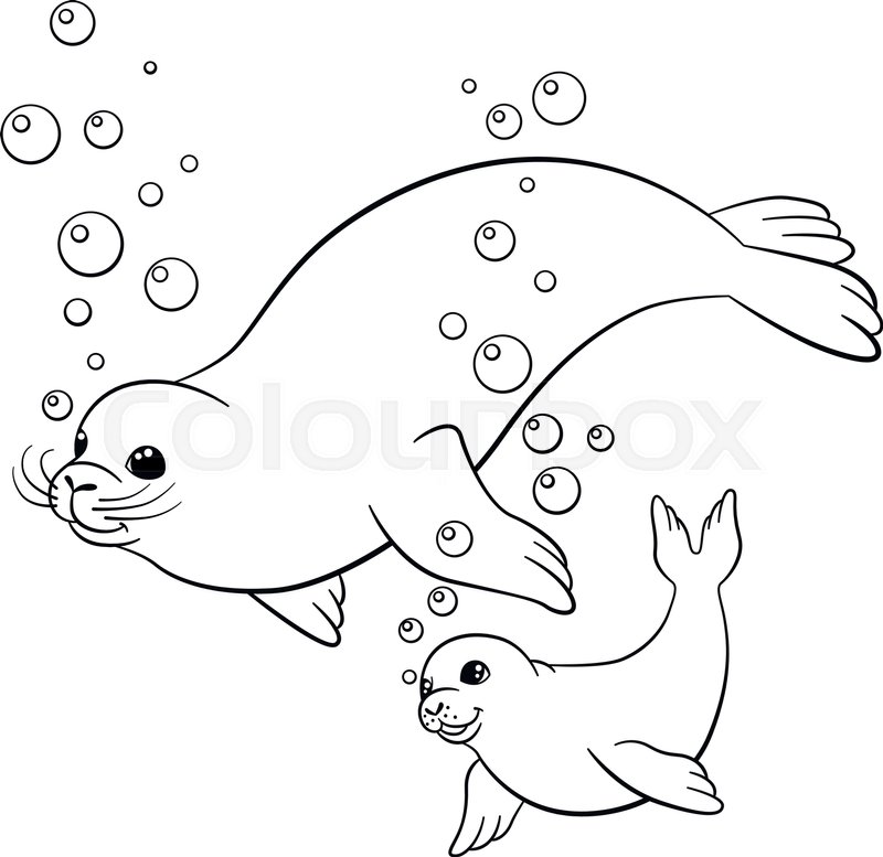 800x777 Coloring Pages. Mother Fur Seal With Her Little Cute Baby Seal