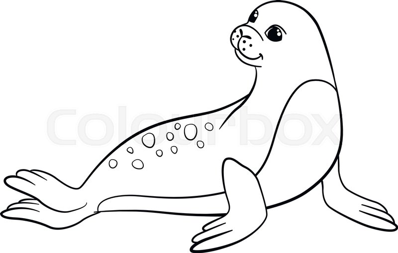 800x509 Coloring Pages. Little Cute Spotted Seal Lays And Smiles. Stock