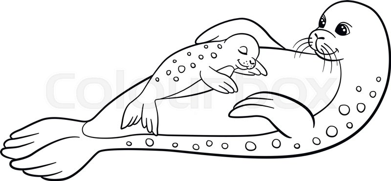 800x370 Coloring Pages. Mother Seal With Her Little Cute Baby Seal